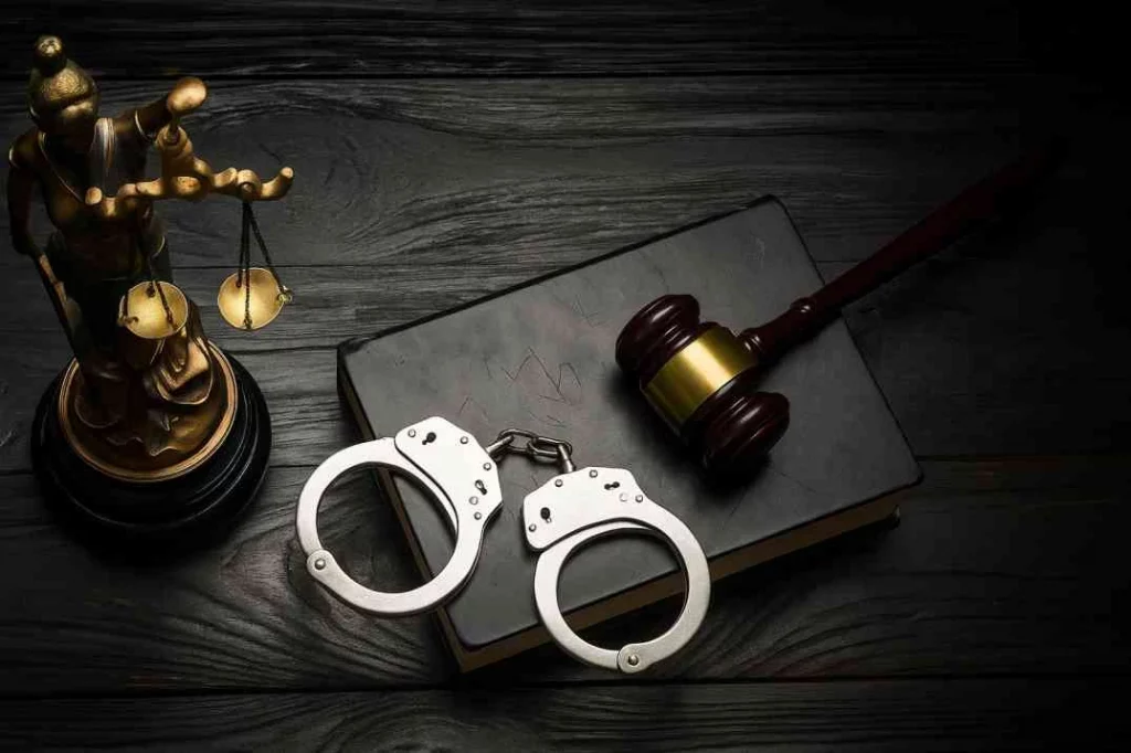 criminal law services