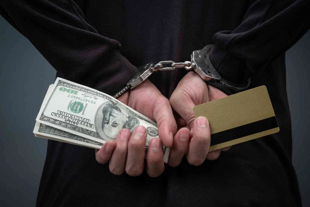 criminal law services